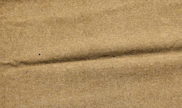WW2 US army issued wool blanket - Image 3
