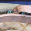 WW2 British slouch hat - Image 12