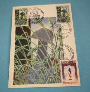 WW1 remembrance postcard