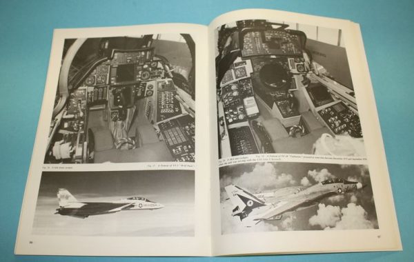 “F-14A Tomcat” - Image 2