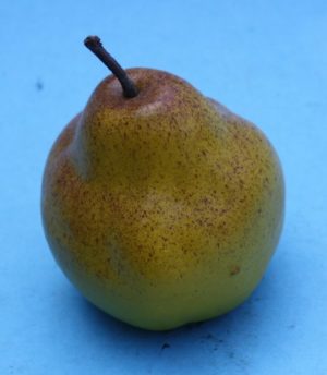 Display fruit: Peer